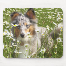 Hiding in the Daisies Mousepad