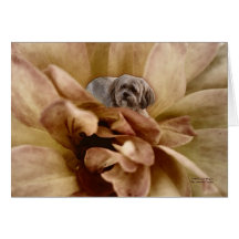 Hiding in the Mum Card
