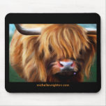 Highland Cow Painting Mouse Pads