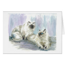 Himalayan cats card