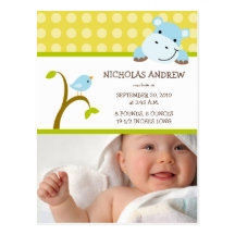 Hippo and Birdie Baby Boy Birth Announcement Postcards