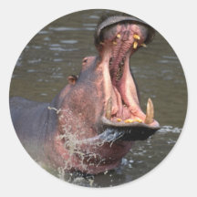 Hippo Sticker