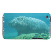 Hippopatumus Habitat iTouch Case iPod Case-Mate Case