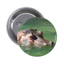 Hippopotamus Swimming On The Surface Pins