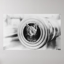 HMAS Encounter's Mascot Poster