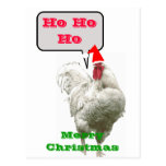 Ho Ho Ho Big Merry Christmas Rooster Postcard