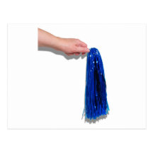 HoldingPompom062710shadows Postcard