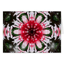 Holiday Star Mandala Card