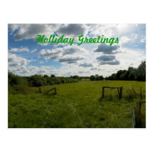 Holliday Postcard
