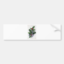Holly 1913 - white bumper sticker