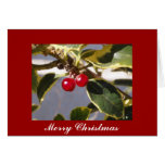 Holly & Berry Greeting Card