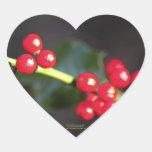 holly berry macro, heart heart stickers