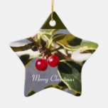 Holly & Berry Star Ornament