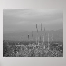 Hollywood Hills 2 Poster