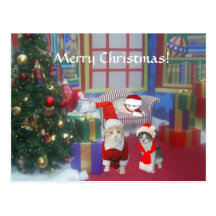 Home for the Holidays! Postcards