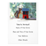 Home is Where the Heart Is Squirrel Announcement