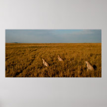 Home of the Three Brothers Posters