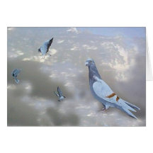 Homing Pidgeons Birds Card