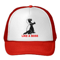 Honey badger, like a boss hats