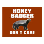 Honey Badger Post Cards