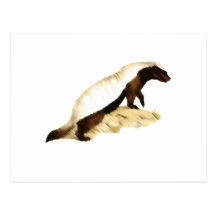 honey badger postcards