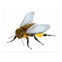Honey Bee Postcard