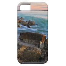 Honeymoon Island