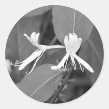 Honeysuckle Round Sticker