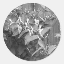 Honeysuckle Sticker