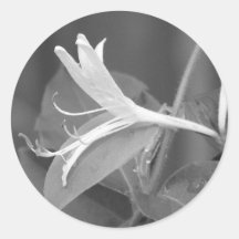Honeysuckle Sticker
