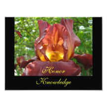 Honour Knowledge Teaching art prints Iris Flowers Photographic Print
