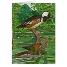 Hooded Mergansers Illustration Greeting Cards