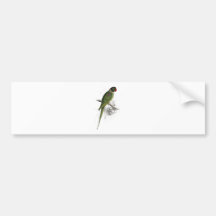 Hooded Parrakeet by Edward Lear Bumper Stickers