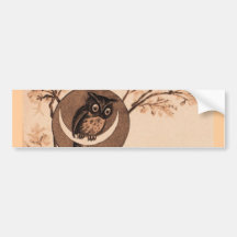 Hooooot! Bumper Stickers