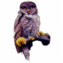 Hoo's Look'n Sculpture Pin Photo Cut Outs