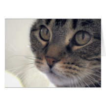 Hopeful Greeting Card