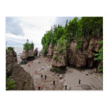 Hopewell Rocks Low Tide Canada Postcard
