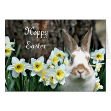 Hoppy Easter Greeting Cards