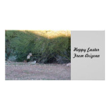 Hoppy Easter Photo Card