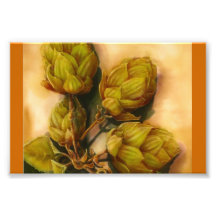 Hops Photo Art