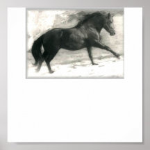 HORESISTERS RAYDAR PRINT