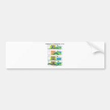 Hormones Of The Menstrual Cycle (Menstruation) Bumper Sticker