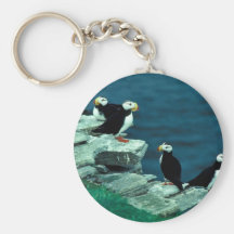 Horned Puffins on Puffin Island Key Chains