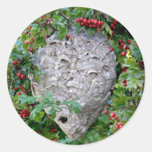 Hornets Nest Photo Round Stickers