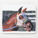 horse's neck high res mouse mats