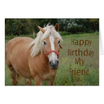 Horse Birthday Card