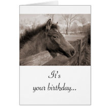 Horse Birthday Card