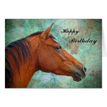 Horse Birthday Card