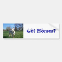 Horse Bumper sticker