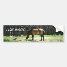Horse Bumper Sticker